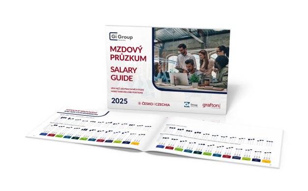 Mzdový průzkum 2025